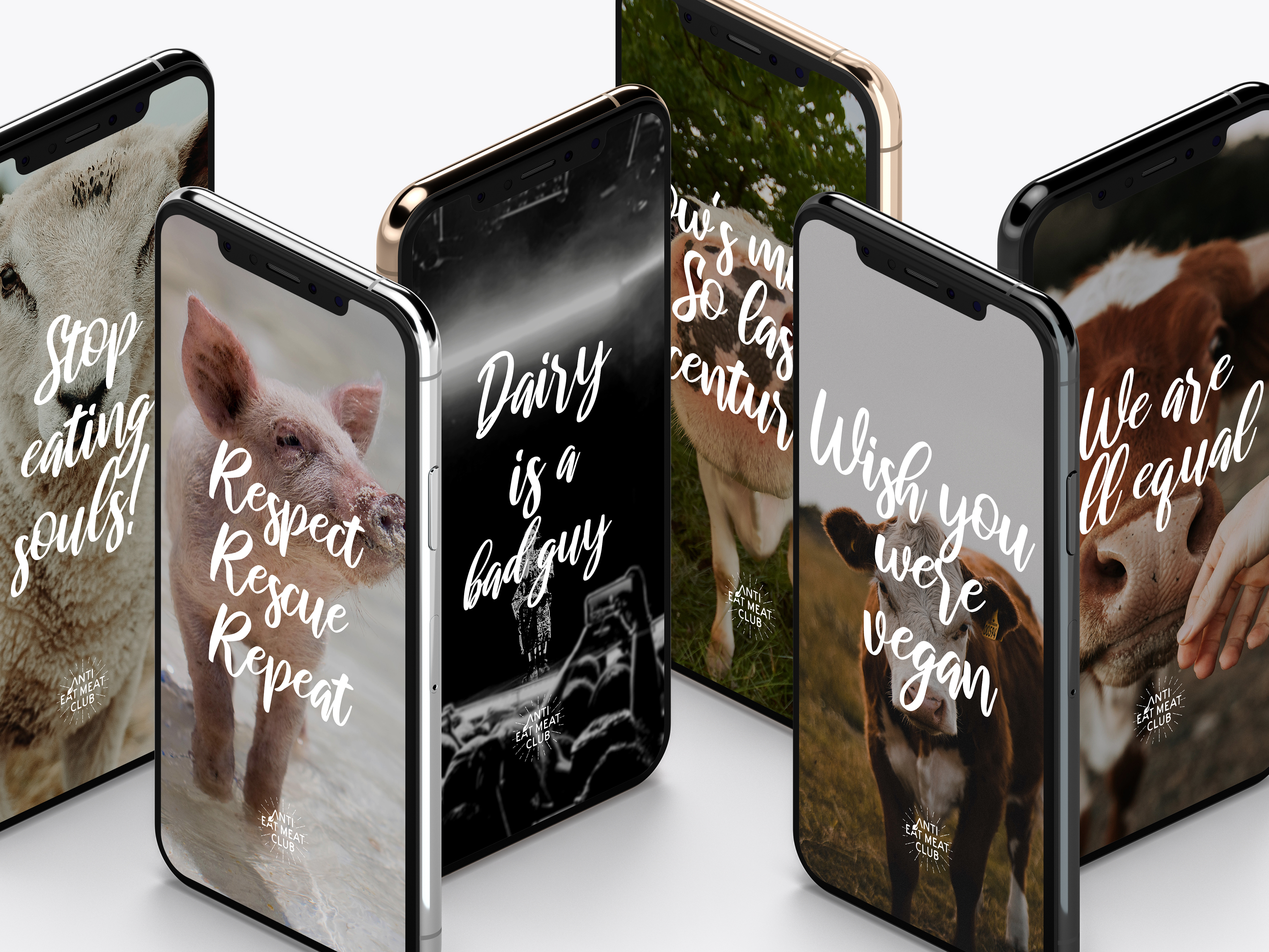 Top 15 Vegan Wallpaper für iPhone & Handy