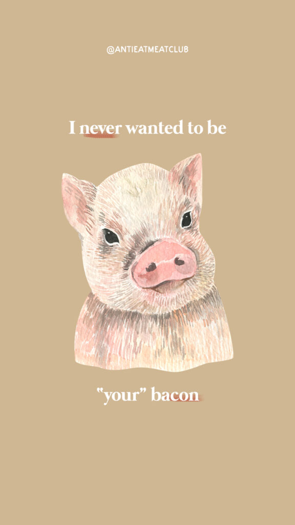 Not Your Bacon Wallpaper